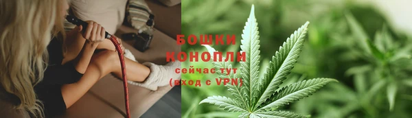 твердый Богородск