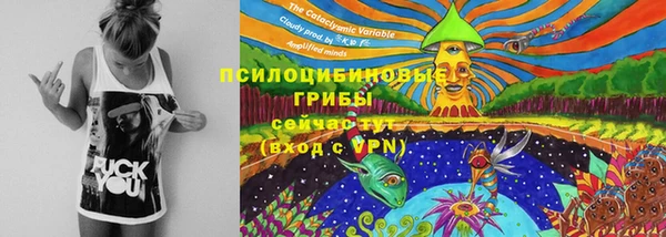 PSILOCYBIN Богданович